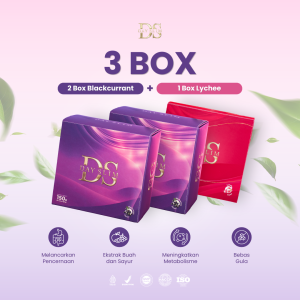 3 Box Harga 485.000