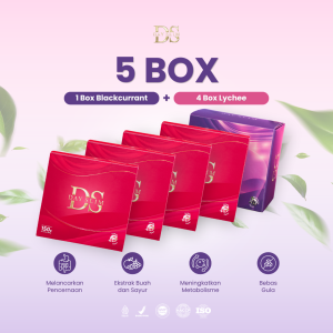 5 Box harga 800.000