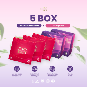 5 Box harga 800.000